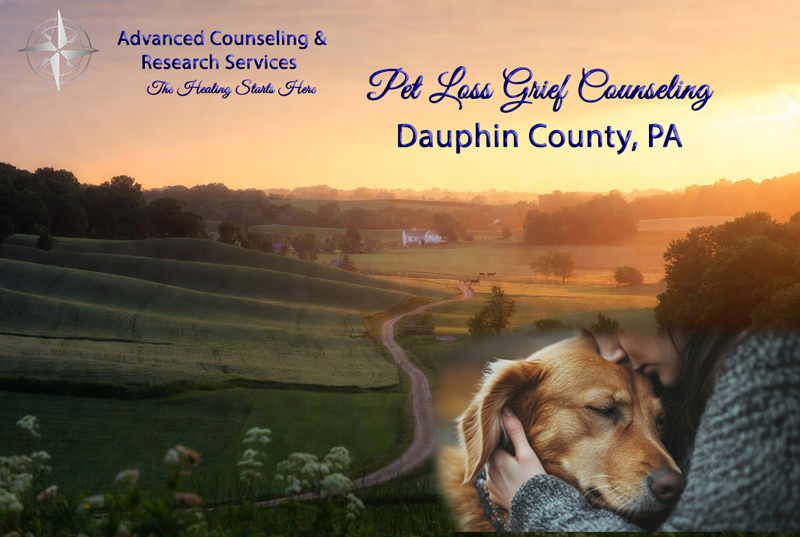 Compassionate pet loss grief counseling in Dauphin County, PA