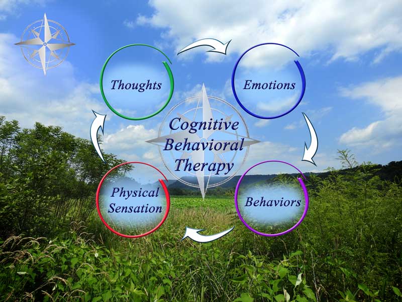 Dauphin County Cognitive Behavioral Therapy (CBT) for Trauma and PTSD