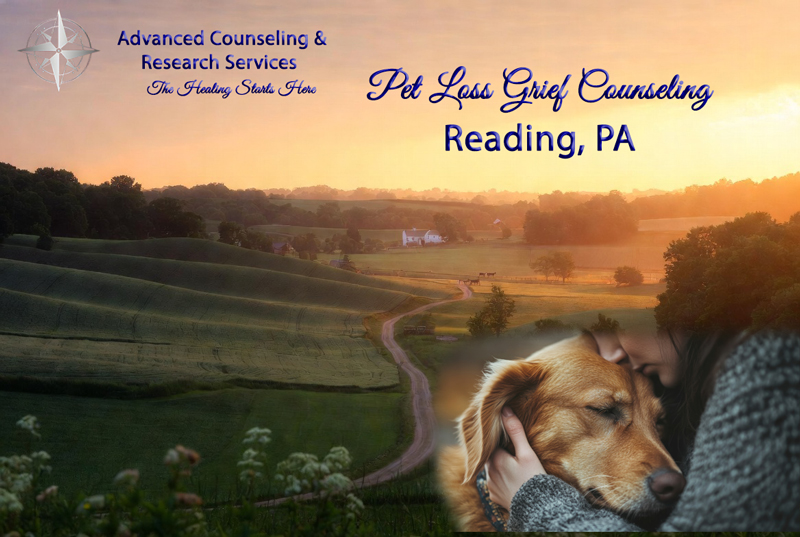 Compassionate pet loss grief counseling in Reading, PA