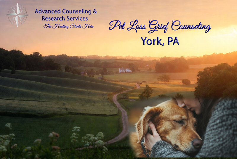 Compassionate pet loss grief counseling in York, PA