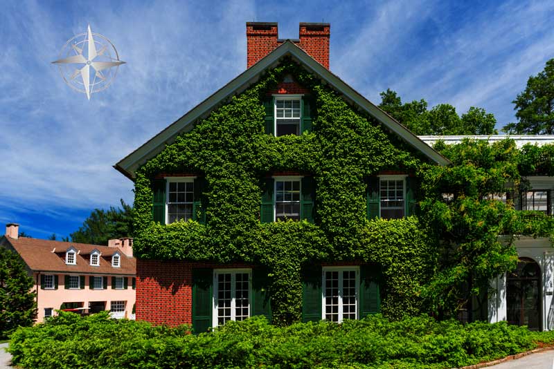 Anxiety, PTSD, and Trauma Counseling in Chester County